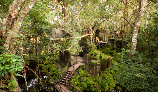 Beng Mealea Temple