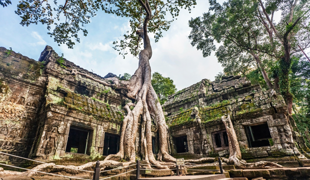 Ta Prohm Temple (Tomb Raider)